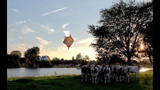 Ballonfestival Grave 2024 1e dag [upl. by Oek]