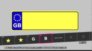 Forza Horizon  Custom Vinyl Group  GB License Plate [upl. by Kalina]