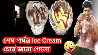 Healthy Lifestyle Vlog  বাড়িতে ঢুকলো Icecream চোর  Healthy Icecream vlog EasyTipsTanushree1406 [upl. by Raffo]