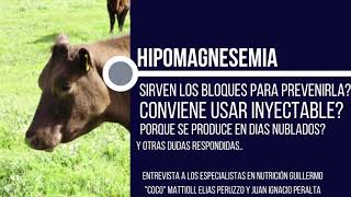 Hipomagnesemia en bovinos [upl. by Sivrahc]