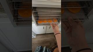 Dehydrating persimmons dehydrating food persimmon [upl. by Ramburt915]