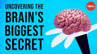 Uncovering the brains biggest secret  Melanie E Peffer [upl. by Anoj]