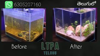 planted aquarium setup in teluguno CO2 no ferts no aqua soilDirted planted aquarium [upl. by Fonsie984]