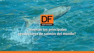 DATA DF  Cómo innovan las empresas salmoneras locales escasas patentes pero con proyectos de ID [upl. by Ayat]