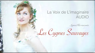 LES CYGNES SAUVAGES DANDERSEN  La Voix de limaginaire  Conte de Fée AUDIO [upl. by Sebbie]