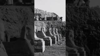 quotThe Avenue of Sphinxes in Luxor Egyptquot Egypt AncientEgypt Luxor travel tour BeautyofEgypt [upl. by Soll]