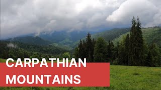 Carpathian mountains Romania discover the wild carpathian forests [upl. by Ziza]