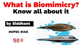 What is Biomimicry Things we can learn from the Nature UPSC IAS [upl. by Ferwerda751]