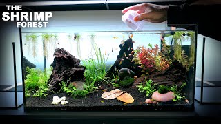 The Shrimp Forest NEW Shrimp Setup for Neocaridina Aquascape Tutorial [upl. by Aihtebat615]