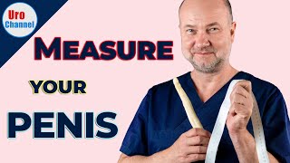 How to measure penile size practical guide  UroChannel [upl. by Kohl579]