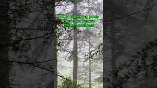 TDCP Glamping podsafternoon beautynewytshortstrendingviralutubevideokitchenvibess [upl. by Maryann]