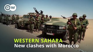 Renewed violence in disputed Western Sahara [upl. by Aernda]