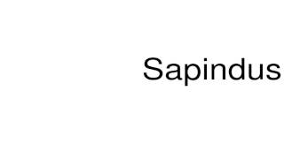 How to pronounce Sapindus [upl. by Kurman]