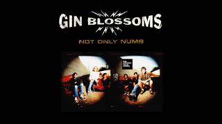 Gin Blossoms  Not Only Numb LYRICS FM HORIZONTE 943 [upl. by Maier]