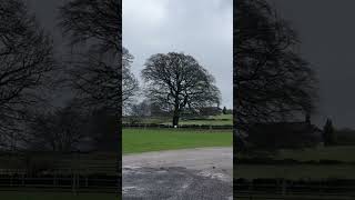 Macclesfield shortvideo Foodandtravellx5kd [upl. by Adnylam701]