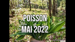 POISSON MAI 2022 VOUS ALLEZ FAIRE UNE ANNONCE [upl. by Nrehtac]