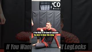 Leg Lock Entry That Everyone Needs To Know bjj nogi gordonryan ufc mma [upl. by Niroc]