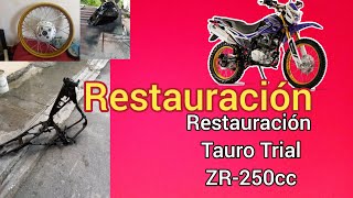 Restauración Motocicleta Tauro ZR250cc parte 2 [upl. by Demodena936]