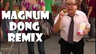 Magnum Dong  Remix Compilation 1 [upl. by Adeehsar]