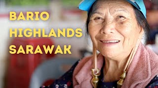 VLOG  Bario Sarawak  travel to the mountains and rice padi fields of Borneo [upl. by Htilil918]