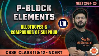 PBlock Elements  Allotropes amp Compounds of Sulphur  Class 11 amp 12 Chemistry  NEET 24  25 [upl. by Crane]