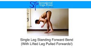 Single Leg Standing Forward Bend [upl. by Iver789]