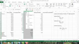 Calculating Variances and Covariances in Excel [upl. by Shandie]