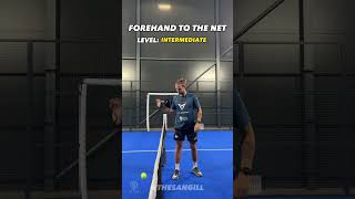 How to finish the point at the net padel padeltips [upl. by Anitsej]