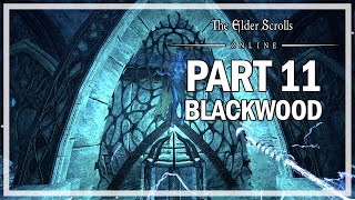 The Elder Scrolls Online Blackwood  Walkthrough Part 11  Delves amp Skyshards [upl. by Ynnohj]