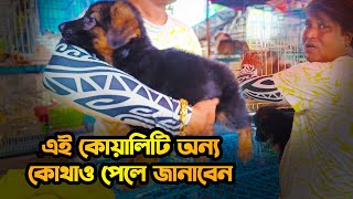 GALIFF STREET PET MARKET  CURRENT PRICE UPDATES  KOLKTA PET MARKET VLOGS [upl. by Jareen]