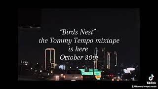 “BIRDS NEST” trailer [upl. by Nollie]