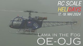 RC XXL TURBINE HELICOPTER VARIO LAMA IN THE FOG RC Scale Helicopter Show 2024 [upl. by Israel]