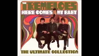 THE TREMELOES Here Comes My Baby 1967 HQ [upl. by Jurkoic]