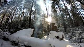 Alone in the Taiga [upl. by Tortosa]