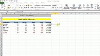 Modifier le format dune cellule Excel 2010 [upl. by Lamak500]