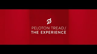 Peloton Tread  The Experience [upl. by Naeloj]