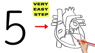 5 number turns into Human Heart Diagram drawing class 10 science biology [upl. by Ebberta187]