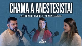 PRECISA DE ANESTESISTA  Anestesiologia Veterinária  É bucha Schneider [upl. by Airbmak]