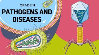 Pathogens and Disease management [upl. by Anehs]