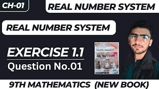 Exercise 11 Q1  Ch01 Real Number System  Class 9th Math  New Syllabus PTCB amp NFB  In Urdu [upl. by Bebe]