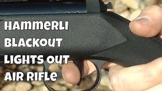 REVIEW Hammerli Air Rifle 800 Blackout Air Rifle  50 Yard Blaster  XISICO XS25S [upl. by Gitt185]