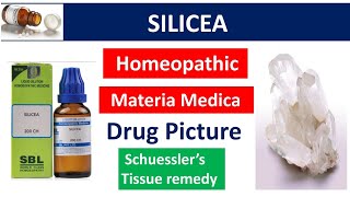 Silicea Drug Picture  Materia Medica  Homeopathy bhms silicea materiamedica drugpicture [upl. by Anelak]