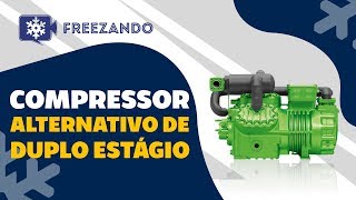 Compressor Alternativo de Duplo Estágio [upl. by Rozamond]