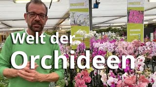 Die Welt der Orchideen in einer Ausstellung [upl. by Halyhs748]