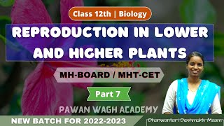 Reproduction in Lower and Higher Plants  Class 12th Biology  Part 7 [upl. by Marigolde44]