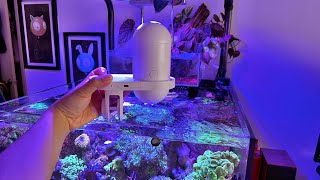 Unboxing and Setup Hygger Smart Fish Feeder with Camera [upl. by Bunde]