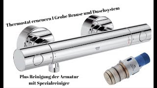 Thermostat an Grohe Duscharmatur erneuern  Jeder kann das UndSchnell und sauber Kalk entfernen [upl. by Bugbee225]