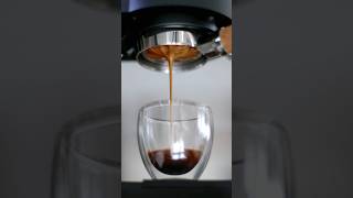 The Perfect Espresso Extraction ☕️ [upl. by Ennayelhsa]