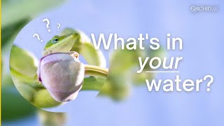 Whats In Your Water  Water Quality for your Orchids [upl. by Dreddy]