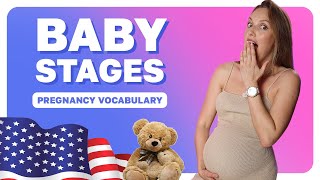 Baby Stages  Pregnancy Vocabulary [upl. by Anneis]